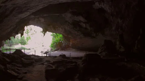 Pan from cave entrance to inside cave Stock Footage 24259694