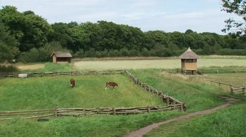 Pan Celtic Fields and a reconstructed iron age settlement Stock Footage