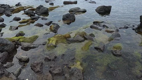 Pan close up of green and black volcanic rocks in clear tide pool at Sagye Stock Footage 337977815