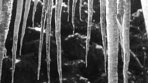 Pan-Closeup backlit icicles dark background Stock Footage 71885539