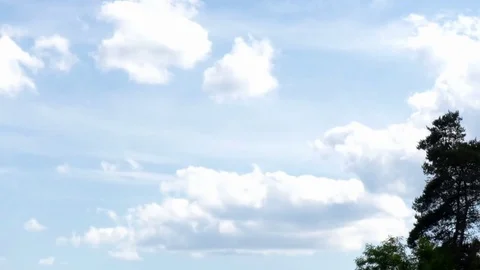 Pan: Clouds in a bright blue sky, trees, green leaves, green needles, slow pan Stock Footage 76802681