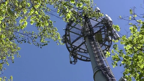 Pan: A communication tower next to trees with green leaves. Clear blue sky. Stock Footage 76779902