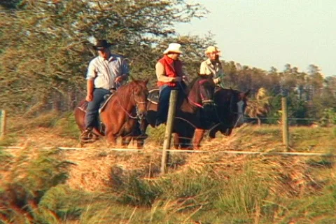 Pan of Cowhands on Horseback Checking a Fence Line Stock Footage
