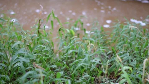 Pan up of creek waterfall run off. Stock Footage 138524710