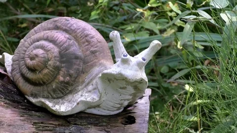 Pan: Cute snail sculpture on a tree trunk in a garden, reeds and plants nearby Stock Footage 79495124