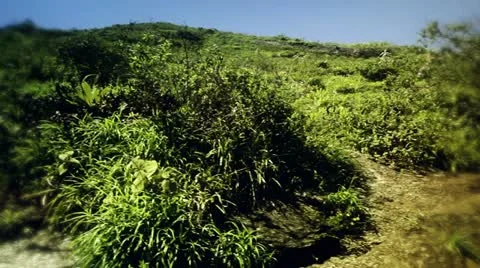 Pan de azucar panning Video stock 10809570