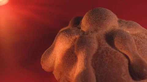 Pan de muerto - Bread day of dead celebration Video stock 97149864