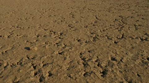 A pan of dead soil, cracked earth Stock Footage 55824641