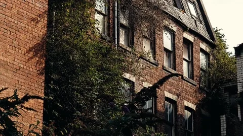 Pan up on derelict red brick building Video stock 160437813