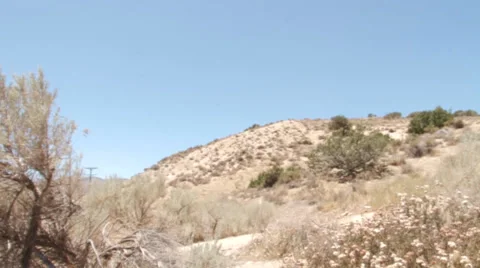 Pan on desert slow motion Mojave Stock Footage 25506143