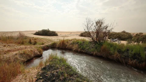 Pan of a desert spring in Egypt Stock Footage 36725038