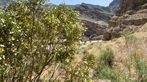 Pan-Desert vegetation blows in wind I-15 traffic enters Virgin River Stock Footage 75060152