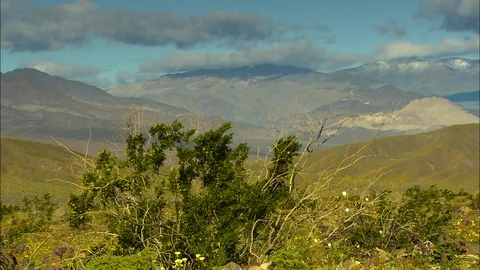 Pan to dirt road under snow capped mountains Death Valley Stock Footage 87948199