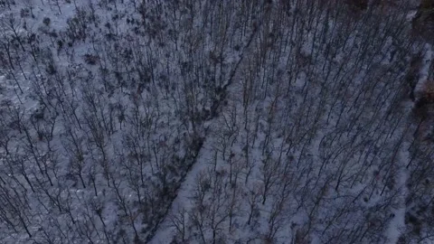 Pan down areal view of snow mountain trees from above Stock Footage 158547580