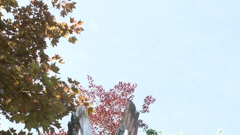 Pan down of a carved totem pole Stock Footage 75275414