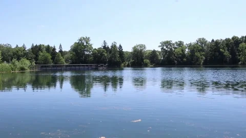 Pan down to debris covered lake with 4 fish swimming. Stock Footage