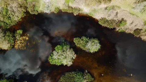 Pan Down Drone Shot to Brown Florida Swamp Stock Footage 88963117