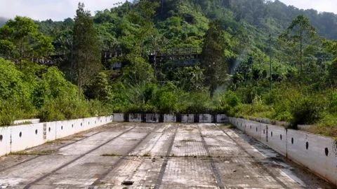 Pan down empty abandoned and overgrown outdoor swimming pool Panguna Vídeos de archivo 336690890