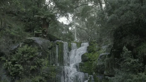 Pan down of Erskine Falls Stock Footage 83869734