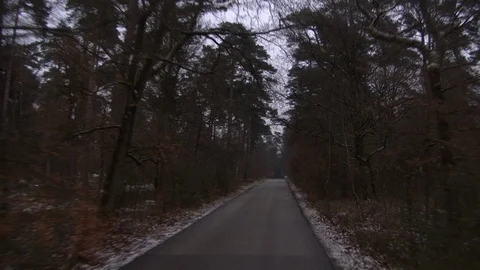 Pan down on forest road Stock Footage 85917634