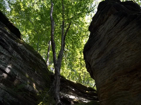 Pan Down from large rock outcrop in Cuyahoga Valley National Park Stock Footage 82700894