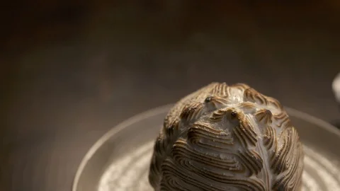 Pan down of meringue   動画素材 112660480