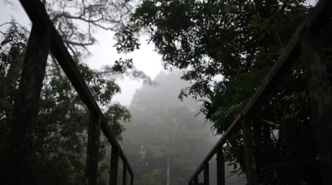 Pan down to an old boat dock Stock Footage 41856985