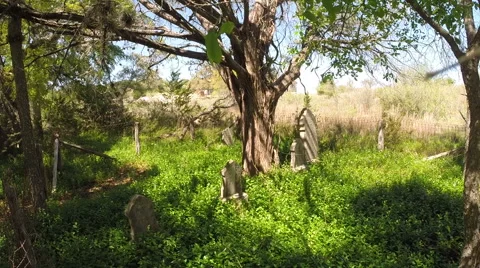 Pan down old cemetery Vídeo Stock 49061228