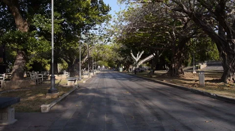 Pan down to passive city park sidewalk Stock Footage 49761559