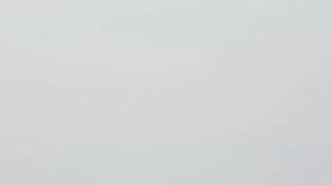 Pan Down Polar Bear Stock Footage 46944215