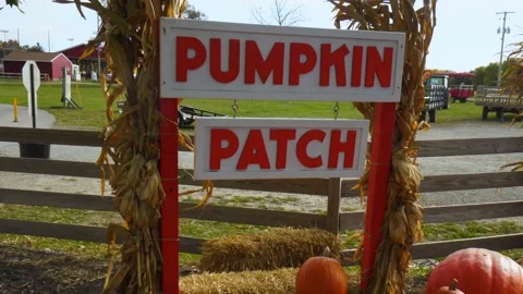 Pan down from pumpkin patch sign to bales of hay &amp; freshly harvested pumpkins Stock Footage 149226627