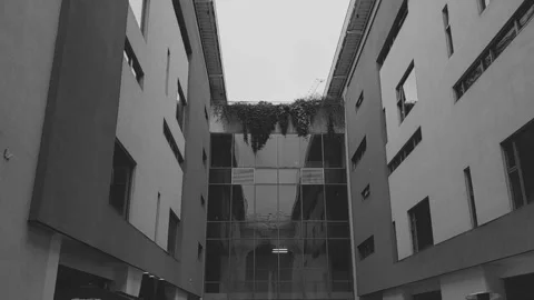 Pan down revealing modern building with large glass windows Stock Footage 171835786