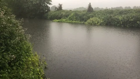 Pan down by riverside in the rain Stock Footage 109508235