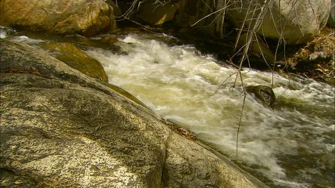 Pan down Salmon Falls into the forest Stock Footage 87716527