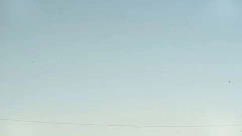Pan Down to Santa Monica Pier Stock Footage 129861135