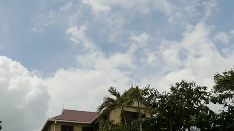 Pan down shot of Bob Marley museum in Jamaica Stock Footage 95489510