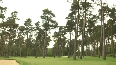 Pan down from sky to a golf putting green Stock Footage 80468549