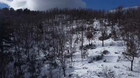 Pan down to snow mountain trees and people walking from above Stock Footage 158547566