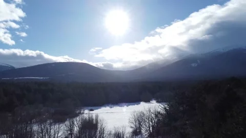 Pan down to snow mountain trees from above Stock Footage 158547582