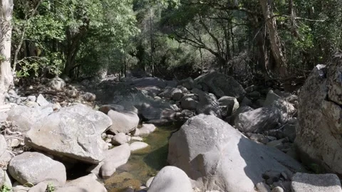 Pan Down Stream In The Jungle 스톡 동영상 254036706