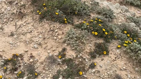 Pan down the top of the cliffs down to a remote beach Stock Footage 107608194