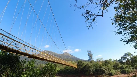 Pan down view  of a long deserted hanging bridge in a forest, India 動画素材 119313884