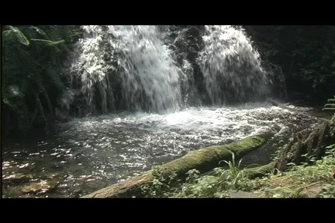 Pan up &amp; down waterfall  Video stock 606414