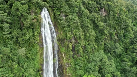 Pan down Waterfall part two Stock Footage 218391663