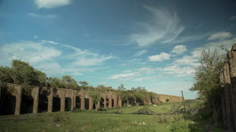 Pan down WW2 ruins, sheep, Stock Footage 53842572