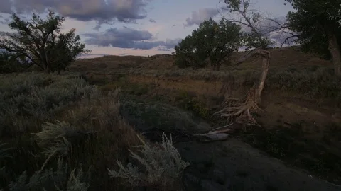 Pan up from dry wash to sun on clouds and trees in prairie flat Stock Footage 75223256