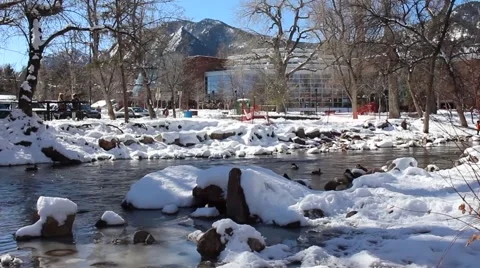 Pan of Ducks Floating In Stream Outside The Boulder, Colorado Public Library Video stock 65600899
