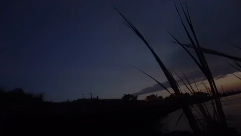 Pan of dutch angle sunset over lake through grass Stock Footage 98909310