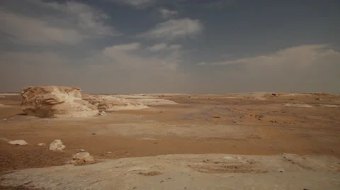Pan of El Santa centenary tree of the White Desert Stock Footage 36142046