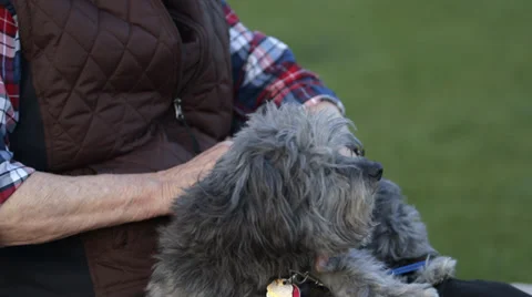 Pan of Elderly Man caressing dog Stock Footage 37345309